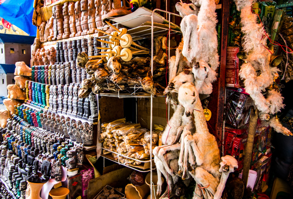 Rückkehr nach La Paz & Freizeit